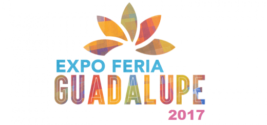 Expo Feria Guadalupe 2017